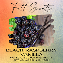 Load image into Gallery viewer, Fall Collection - Whipped Soap