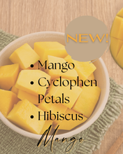 Load image into Gallery viewer, Spring Collection Body Butters