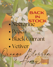 Load image into Gallery viewer, Spring Collection Body Butters