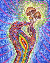 Load image into Gallery viewer, Ceremony